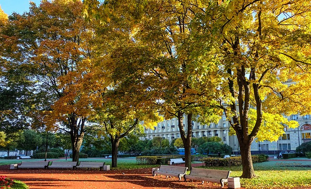 - Ideální tréninkový plán: Jak začlenit cviky na šikmé břišní svaly do vašeho cvičebního režimu!