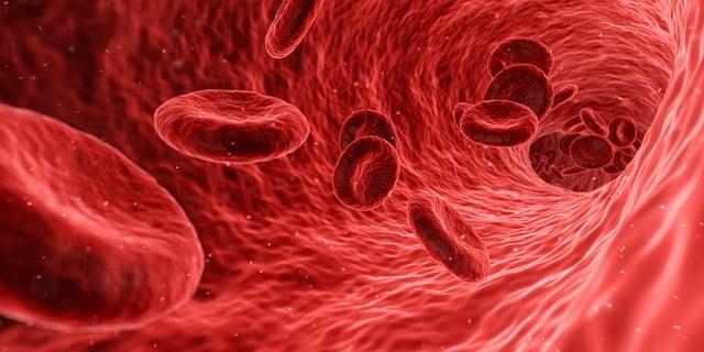 8. Zdravotní problémy spojené s narušenou kapacitou plic a jak jim předcházet