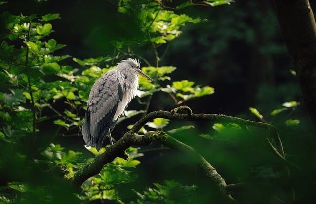 Jak dlouho mít tejpování na dlaních: Optimální doba a četnost aplikace