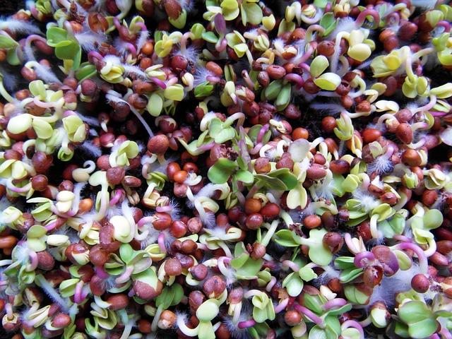 5. Od základů ke zlepšení: Specifické cviky a metodiky pro posílení svalové síly a vytrvalosti