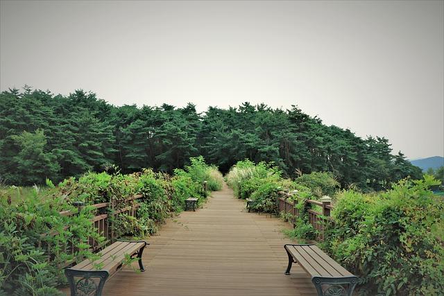 Jakým způsobem se mohou začátečníci zdokonalit v technice zavádění akupunkturních jehel?