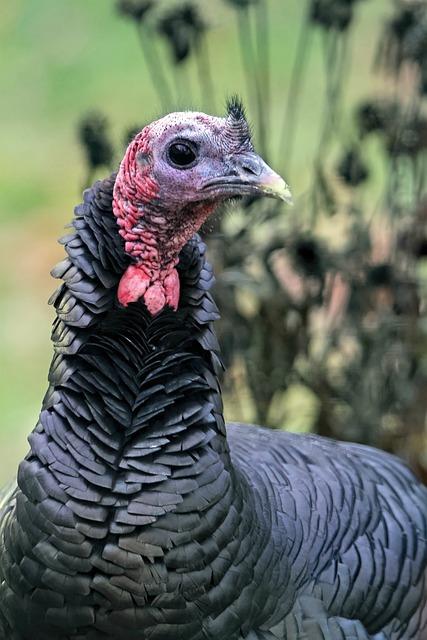 - Jaké konkrétní zdravotní problémy může akupresurní sada pomoci řešit?