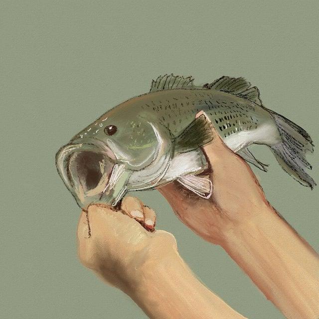 Jak najít kvalitního akupunkturistu pro Vaši rodinu v Hodoníně