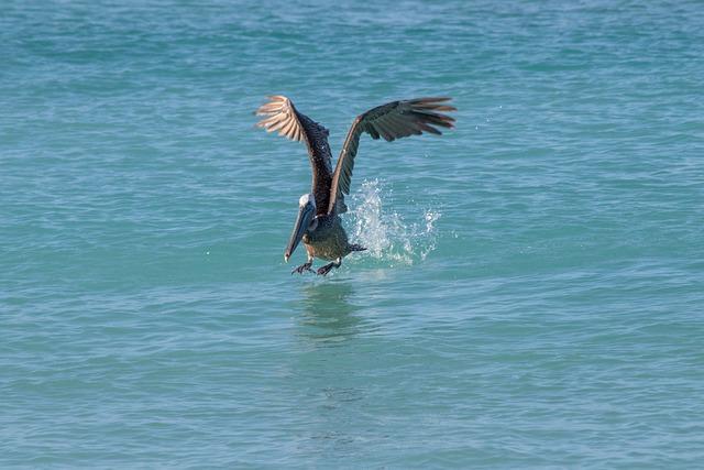 Zdlouhavé techniky pro uvolnění horka v celém těle