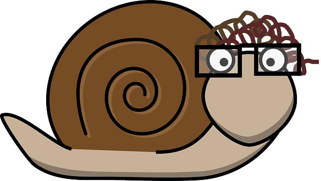 Důkladná konzultace s lékařem před zahájením léčby akupunkturou