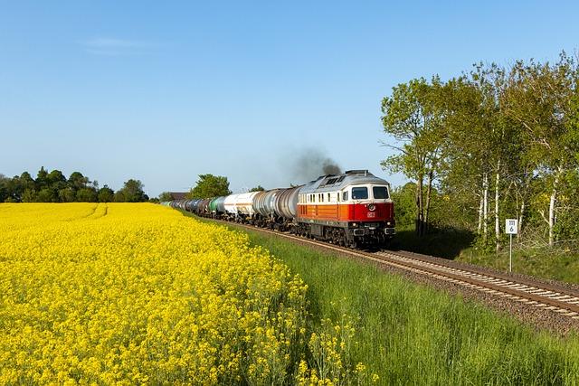 - Specifické aplikace Chomutovské akupunktury pro různé zdravotní problémy
